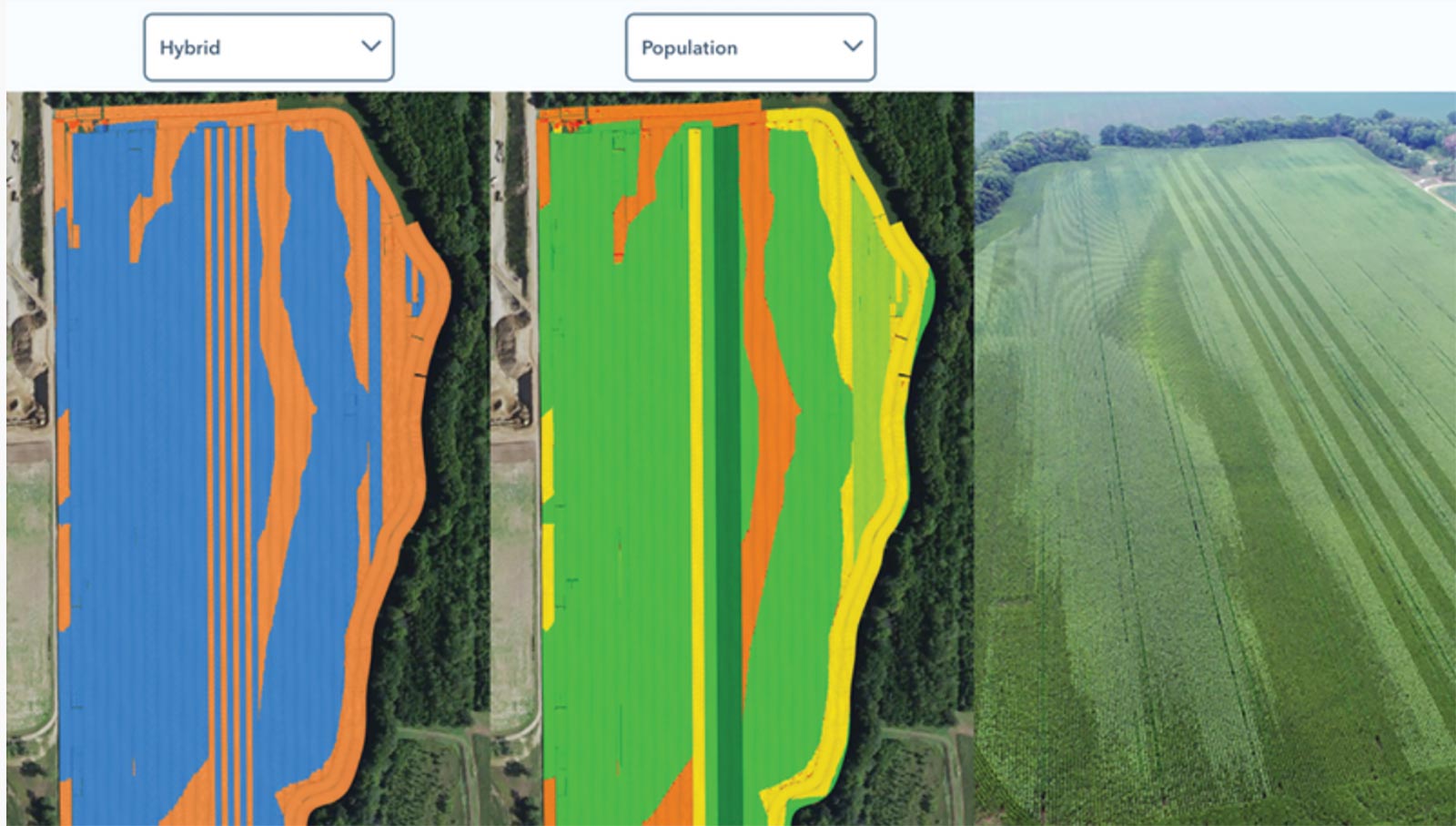 field grids showing data for hybrid and population