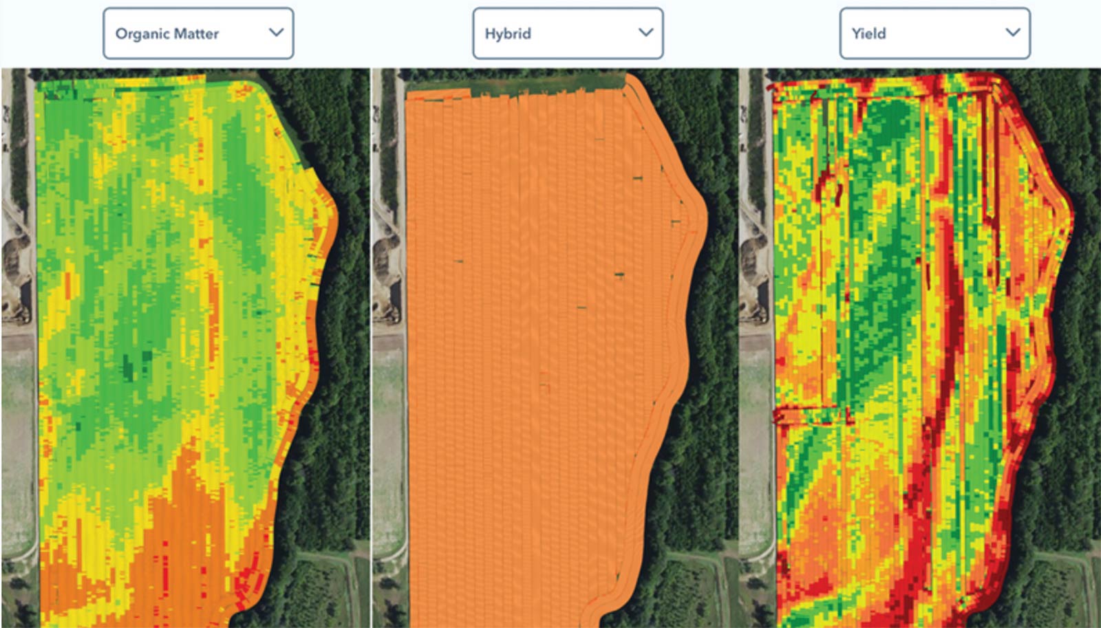 field grids showing variation in organic matter